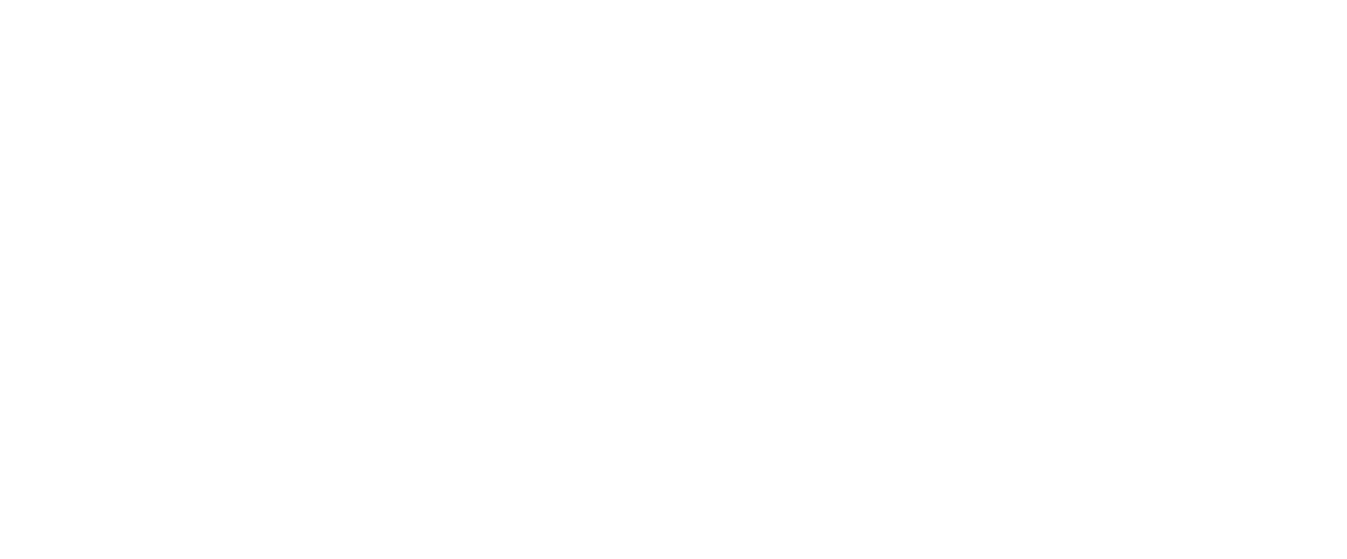evia – Your partner for digital transformation