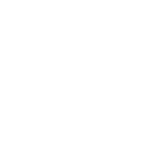 IPETRONIK